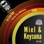 Lire la suite à propos de l’article Concert de Miel & Keysuna au Live Bar (Collectif Culture Bar-bars) – Nantes
