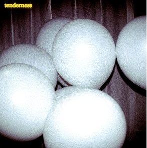 Mad Foxes – Tenderness