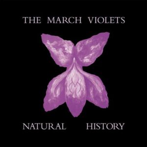 The March Violets – Natural History